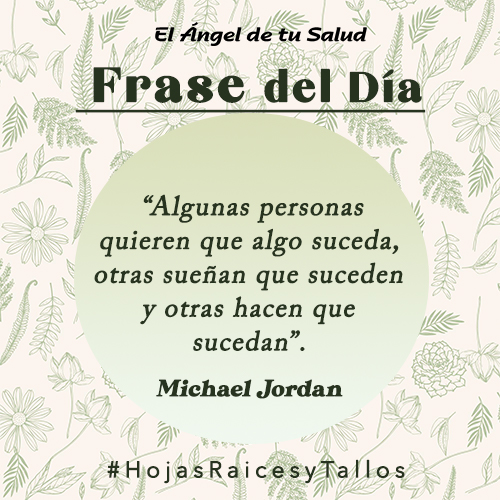  “Algunas personas quieren que algo suceda, otras sueñan que suceden y otras hacen que sucedan” - Michael Jordan