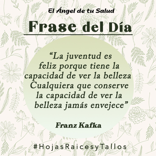  “La juventud es feliz porque tiene la capacidad de ver la belleza. Cualquiera que conserve la capacidad de ver la belleza jamás envejece” - Franz Kafka