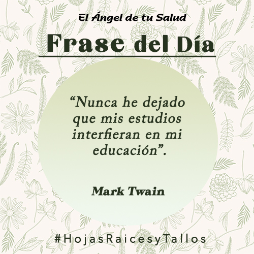 “Nunca he dejado que mis estudios interfieran en mi educación” - Mark Twain