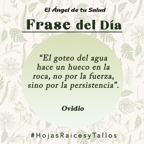 “El goteo del agua hace un hueco en la roca, no por la fuerza, sino por la persistencia” - Ovidio