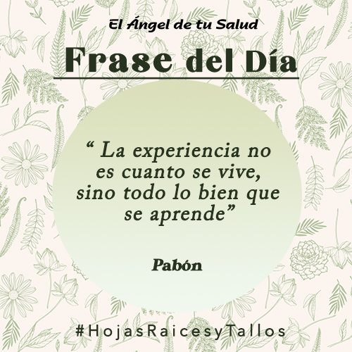 “ La experiencia no es cuanto se vive, sino todo lo bien que se aprende” - Pabón
