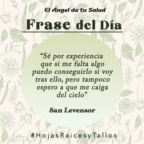 “Sé por experiencia que si me falta algo puedo conseguirlo si voy tras ello, pero tampoco espero a que me caiga del cielo”  - San Levensor