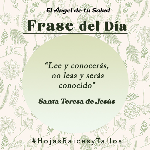 “Lee y conocerás,  no leas y serás conocido” - Santa Teresa de Jesús