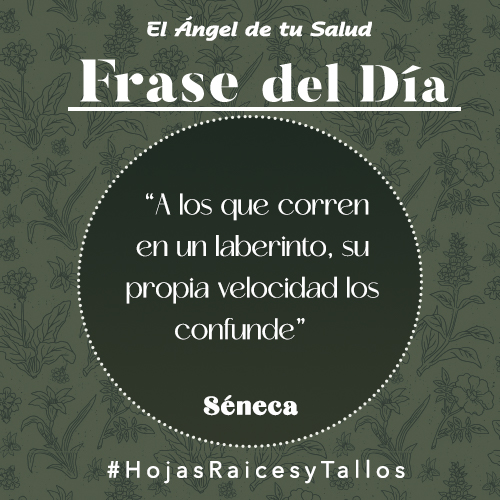 “A los que corren en un laberinto, su propia velocidad los confunde”  - Séneca