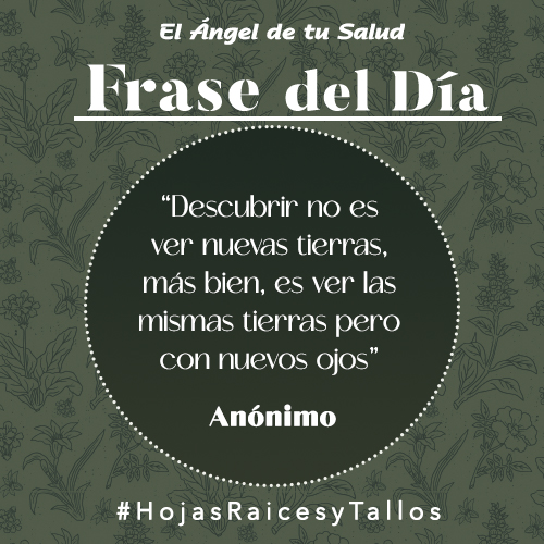 “Descubrir no es ver nuevas tierras, más bien, es ver las mismas tierras pero con nuevos ojos” - Anónimo 