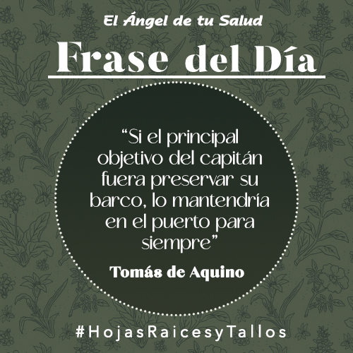 “Si el principal objetivo del capitán fuera preservar su barco, lo mantendría en el puerto para siempre” – Tomás de Aquino 