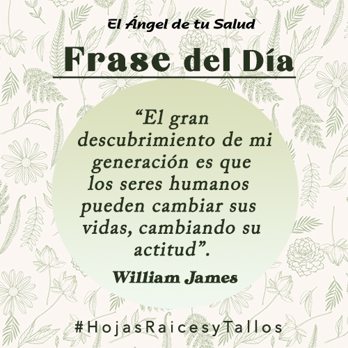 “El gran descubrimiento de mi generación es que los seres humanos pueden cambiar sus vidas, cambiando su actitud” - William James