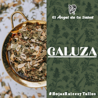 Reduce la cantidad de estrés evitando y aliviando así los casos de epilepsias que generalmente pueden llegar a ser muy seguidos.