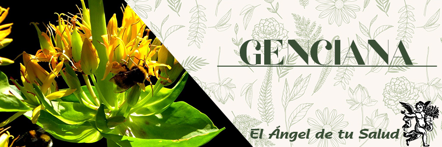 Resulta especial para los problemas como indigestiones, vómitos, inapetencia, raquitismo, diarrea, gases, parásitos intestinales y en la convalecencia de enfermedades febriles.