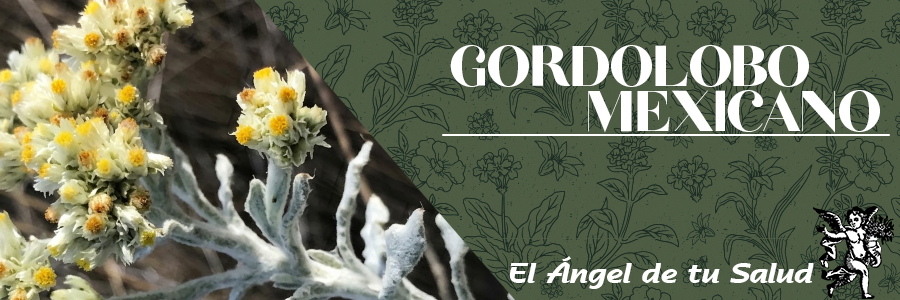 Varios usos medicinales se la conocen, como por ejemplo con el cocimiento de las flores se hacen gargarismos para aliviar males de boca y garganta, pues es un remedio excelente para la tos de cualquier origen.