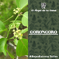 El furto que el Gorongoro brinda tiene aproximadamente 1 cm de diámetro, es comestible y se usa como un sustituto del jabón para lavar la ropa.