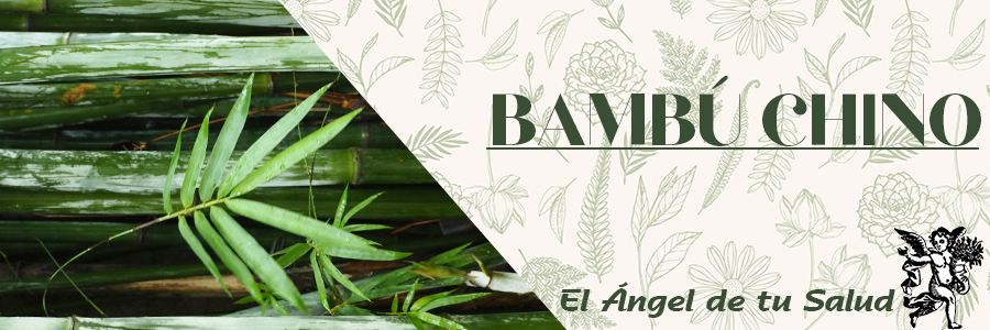 El bambú tiene también un efecto remineralizante, ya que protege de la osteoporosis que fragiliza los huesos durante el período de la menopausia.