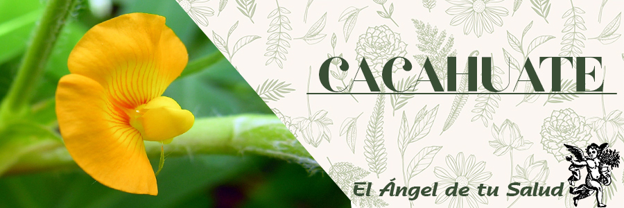 Reduce las afecciones cardiovasculares, porque permite disminuir el nivel de colesterol malo y contribuir a su vez la fluidez sanguínea, además ayuda a controlar los procesos inflamatorio.