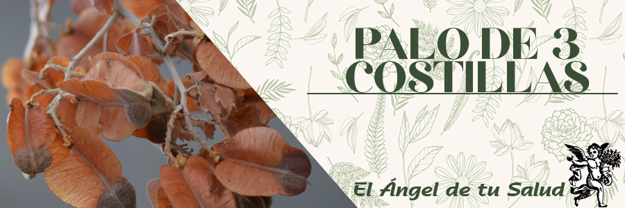 Es muy buena para curar del mal de orín: se hierve en medio litro de agua una cuarta de palo colorado, se toma tibio por varios días hasta que desaparecen las molestias.