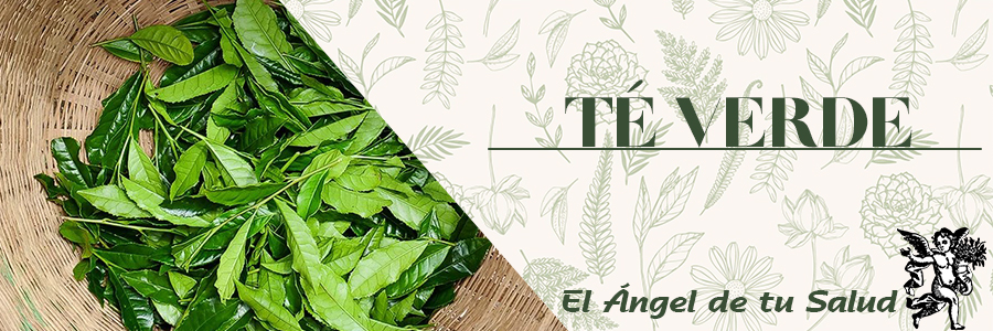 El té verde contiene antioxidantes conocidos como polifenoles que atacan a los radicales libres. Lo que significa que ayuda a combatir los efectos del envejecimiento y promueve la longevidad.