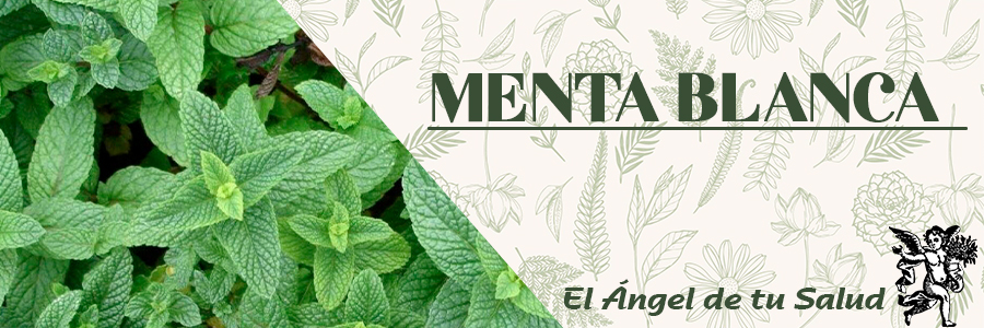 El mentol, principal compuesto de la menta, es un gran anestésico y ayuda a calmar toda clase de dolores.