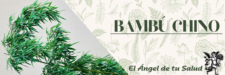 El bambú tiene también un efecto remineralizante, ya que protege de la osteoporosis que fragiliza los huesos durante el período de la menopausia.