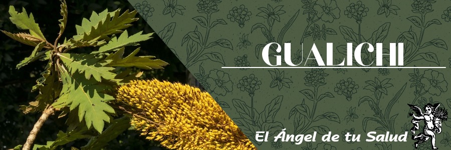 Principalmente se le prescribe contra la tos, 