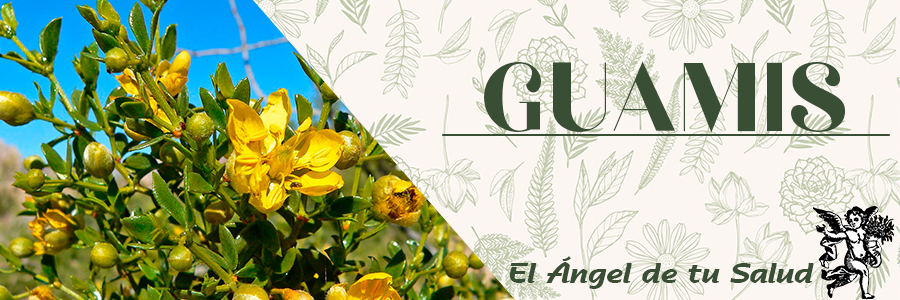 La corteza y las hojas se utilizan para todo tipo de dolencias humanas y animales. 