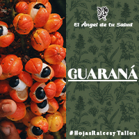 El Guaraná sirve como tónico y estimulante general, también es adecuado en caso de decaimiento o apatía, además, se ocupa como tónico para depresiones, astenia cerebral, estrés, agotamiento mental y fatiga.