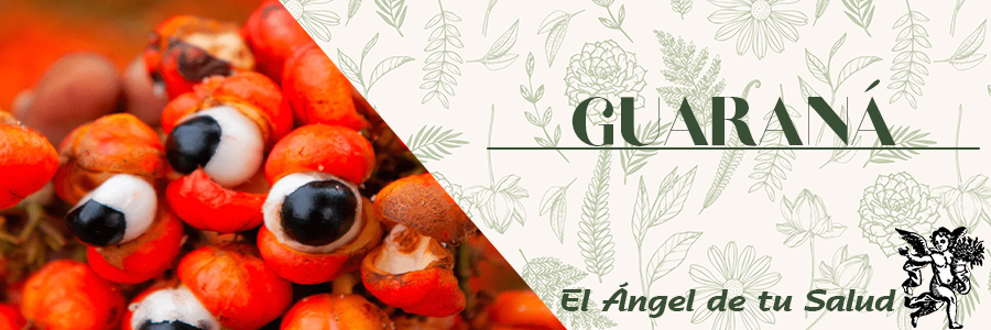 El Guaraná sirve como tónico y estimulante general, también es adecuado en caso de decaimiento o apatía, además, se ocupa como tónico para depresiones, astenia cerebral, estrés, agotamiento mental y fatiga.