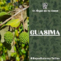 Ayuda a disminuir la glucosa. 