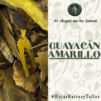 Es utilizado en farmacéutica y se sabe que posee propiedades estimulantes, es sudorífico, expectorante y antiséptico de las vías respiratorias.