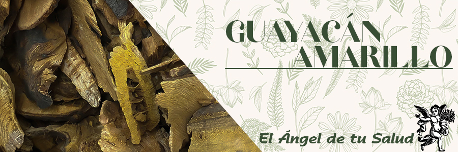 El Guayacán Amarillo se emplea en enfermedades venéreas y cutáneas, en casos de reumatismo, fiebre, así como para fortalecer la vista, y la cocción de las flores es usada contra la tos.