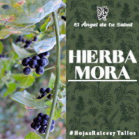 En infusión, se bebe en ayunas cuando hay inflamación estomacal.