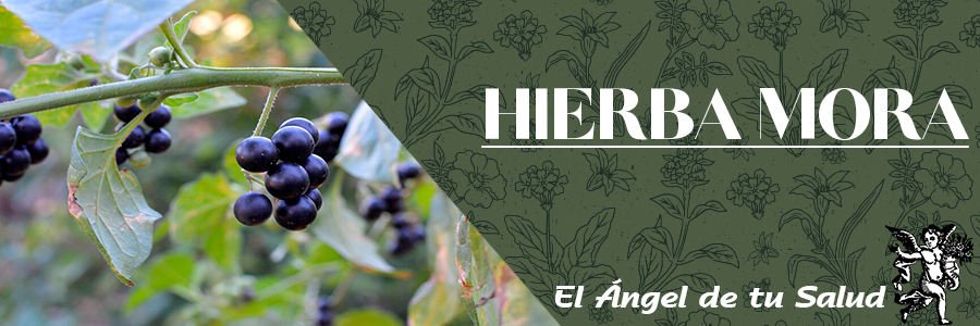 La fruta fresca en Nigeria se usa como un agente anti parasítico y diurético. 