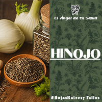 El Hinojo se utiliza en el tratamiento de la esterilidad, para desinflamar los órganos internos por medio de frotaciones con hierbas de naturaleza fresca.