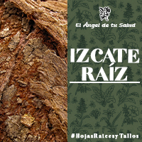 La corteza del Izcate es reconocida como tratamiento eficaz para la gastritis, desinfectante de heridas e infecciones diversas, entre otros padecimientos.