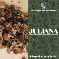 La Jurema también se emplea en problemas relacionados con la sangre y su circulación, para purificarla o desintoxicarla, curar várices y úlceras varicosas.