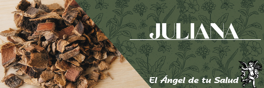 La Jurema se utiliza como enjuague bucal para fortalecer las encías o ser aplicada tópica o intra-vaginalmente, para tratar diversos problemas de salud, como infecciones o urticarias.