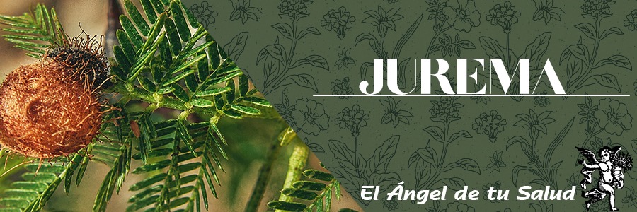 Arbusto espinoso de hasta ocho metros de alto con hojas alternas compuestas de pinnas y hojuelas muy pequeñas, algo viscosas; flores blancas, muy pequeñas, en densas espigas bastante largas y vainas oblongas. Es un arbusto vistoso cuando se cubre con sus inflorescencias blancas, semillas casi ovoides, morenas u olivaceas y brillantes.