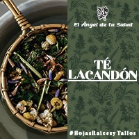Beneficia de manera importante la salud del organismo, porque, además de su alto valor nutritivo, tiene propiedades preventivas y curativas