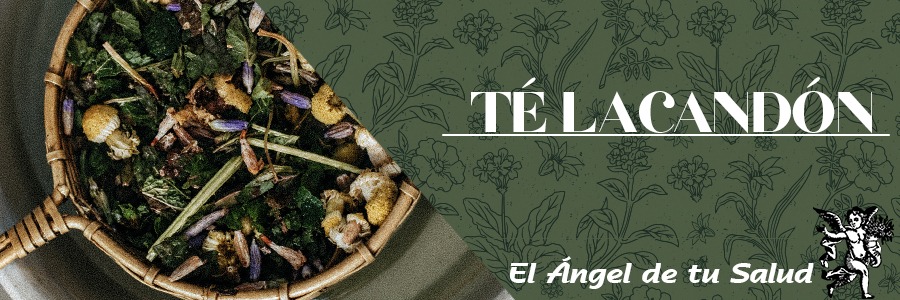 El Té Lacandón es nutritivo y benéfico para la salud, se puede tomar, con absoluta confianza, no tiene contraindicaciones