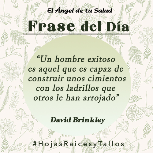 “Un hombre exitoso es aquel que es capaz de  construir unos cimientos con los ladrillos que otros le han arrojado” - David Brinkley