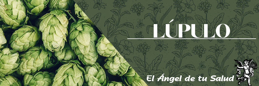 El Lúpulo se emplea para abrir el apetito y en caso de digestiones difíciles en función de sus virtudes como digestivo ya que ayuda a la digestión facilitando la actividad del estómago.