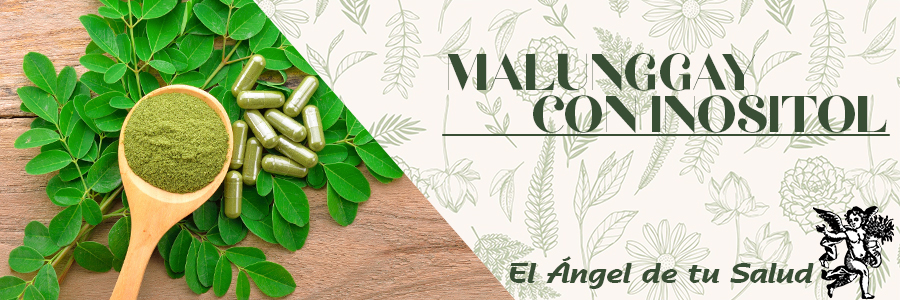 Al ser una planta energética y algo estimulante, no se recomienda tomarla cerca del momento de acostarnos, sobre todo si eres propenso al insomnio