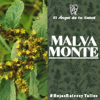 La infusión de Malva Monte se puede emplear además contra las inflamaciones de la boca y la garganta haciendo enjuagues y gargarismos.