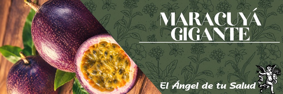 La Maracuyá Gigante alivia los síntomas asociados al síndrome de abstinencia de medicamentos narcóticos o ansiolíticos. 