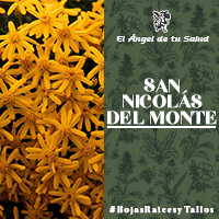 A menudo se utiliza el San Nicolás del Monte en la medicina interna como febrífugo y antipirético , y en contra de la malaria , cálculo biliar, el tifus, y el reumatismo. 