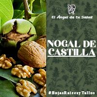 El Nogal de Castilla baja el riesgo de padecer enfermedades cardiovasculares, ya que se considera que posee antioxidantes y se le asocia con la prevención de enfermedades que tienen que ver con los radicales libres, además se le usa para enriquecer la sangre y combatir el envejecimiento prematuro.