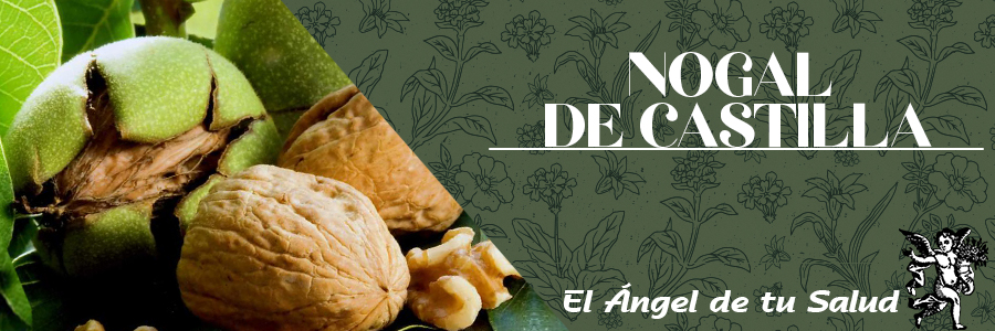 Es un fruto seco de alto valor nutritivo: rico en proteínas, vitaminas del grupo B, vitamina C, oligoelementos, aceites vegetales, lecitina y ácidos grasos omega 3 (poliinsaturados).