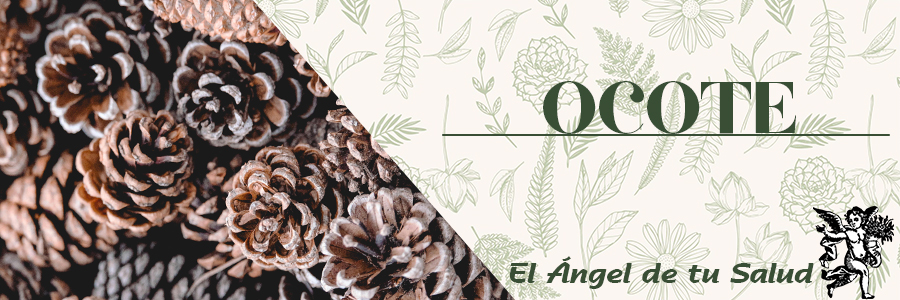 Tiene una gran virtud para los ojos, ya que se recomienda para aliviar enfermedades que afectan los ojos como la degeneración macular y la miopía.