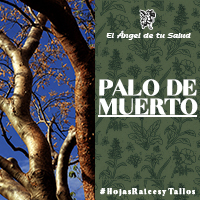 El uso del Palo de Muerto se utiliza cualquier parte medicinal de la planta en forma de lociones capilares para prevenir la caída del cabello y reforzar el cuero cabelludo.