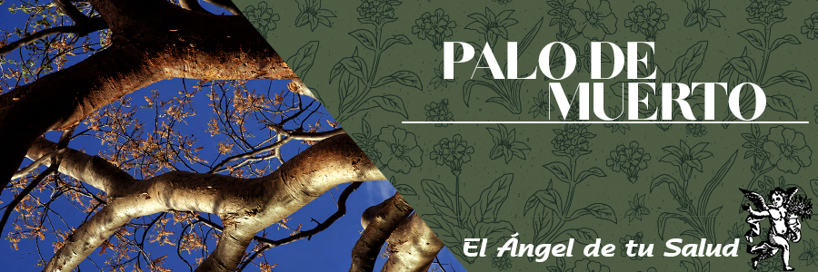 El Palo de Muerto es una planta anti?doto para el piquete del alacra?n, de esto se deduce que combate la intoxicacio?n por alimentos, por plomo u otro metal que cause mucho dan?o a nuestro cuerpo.