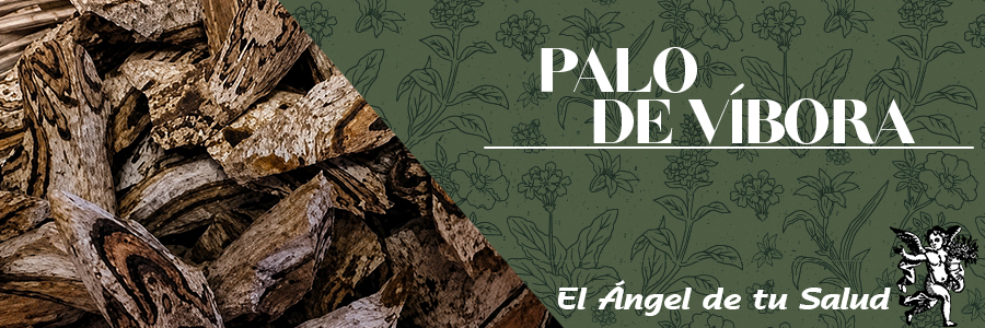 El Palo de Víbora regula el colesterol alto en la sangre, la presión arterial alta y la taquicardia, además alivia llagas, forúnculos, erupciones, infecciones de la piel, picazón, quemaduras y acné por trastornos hormonales.