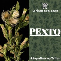 El Pexto sirve como analgésico se le usa en diversos dolores digestivos, sobre todo para el dolor de estómago, retorcijón, dolor de apéndice, cólicos agudos y cólicos.